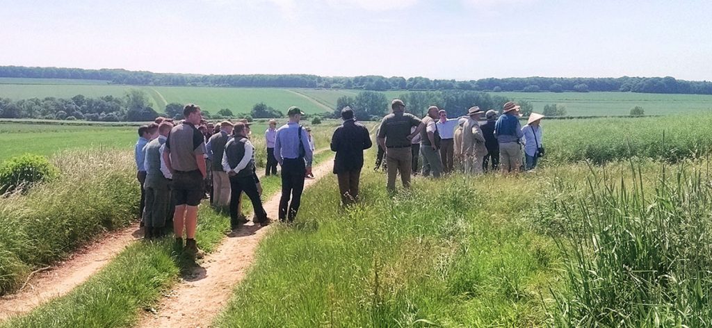 A tour of a wild grey partridge restoration project in June 2018 attracted farmers from miles around