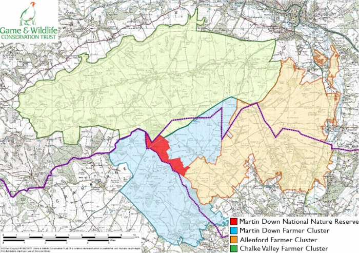 Map of the Martin Down supercluster