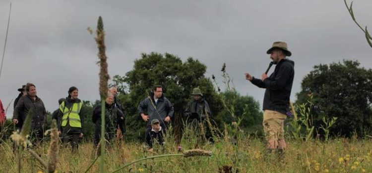 Agricology Virtual Field Days